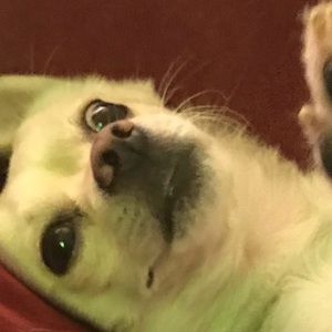 Meet your Posher, Olivia